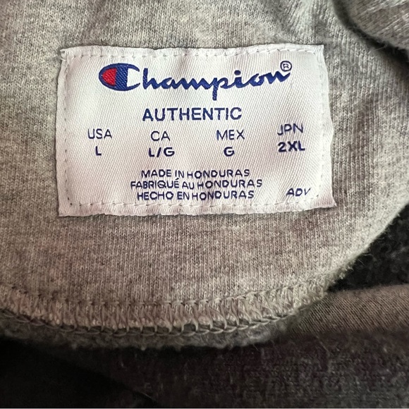 Champion Hoodie Gray Men's Sz Large - Picture 5 of 7